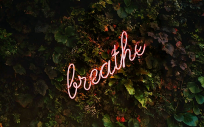 Self-Sabotage – Part Two