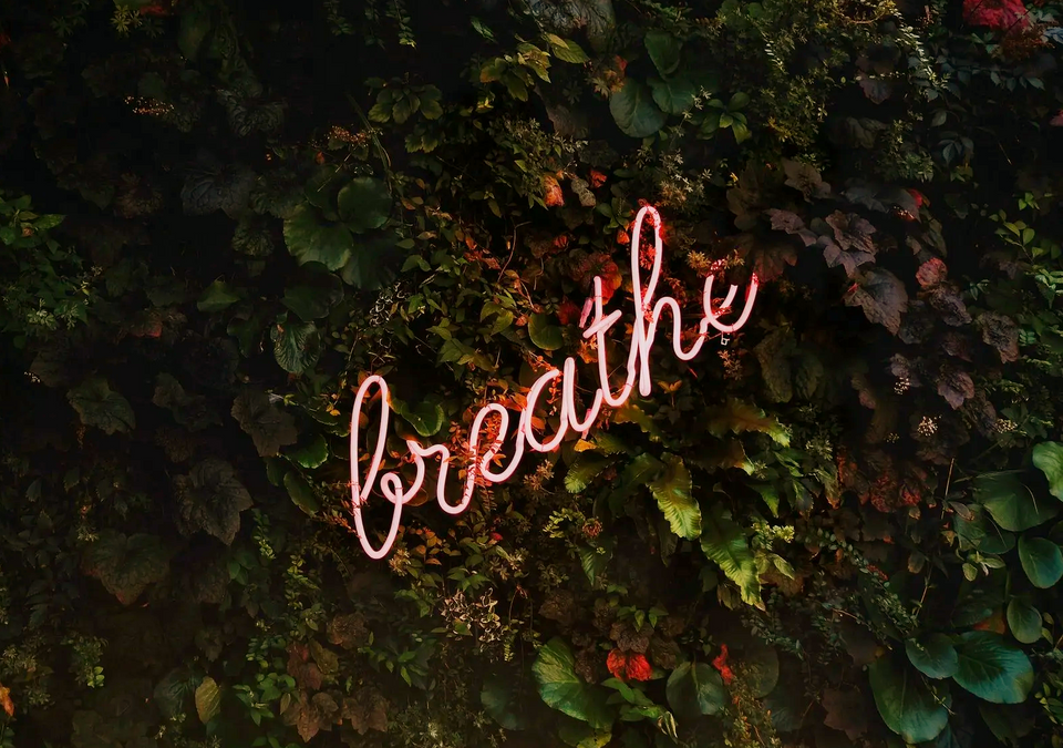 Self-Sabotage – Part Two