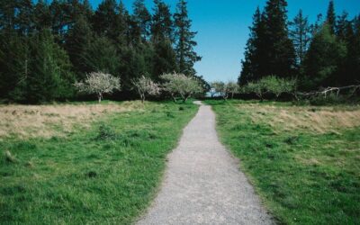 Visualisation – Part One