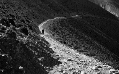 Visualisation – Part Two