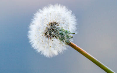 Wishing does not equal belief